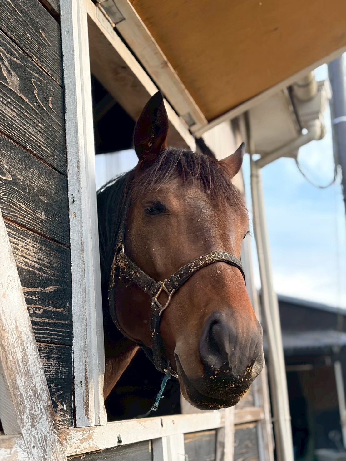 エトワールリタッチ