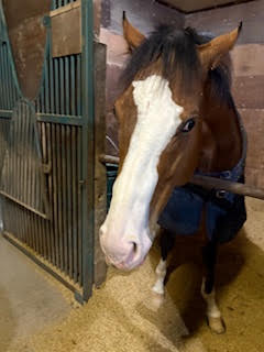 ルクスソレイユ