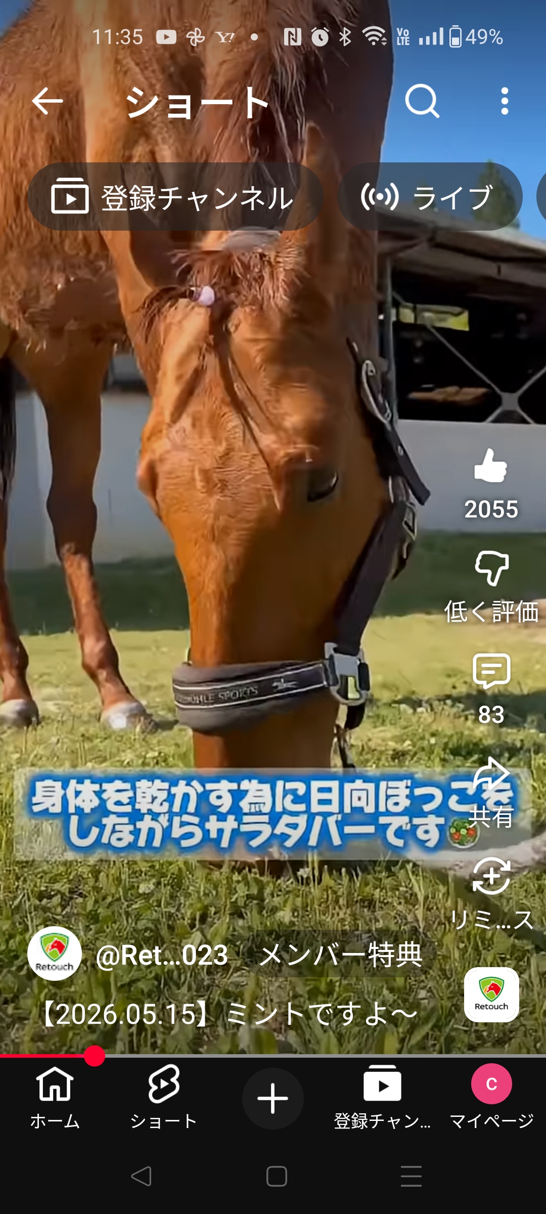 リタッチミント