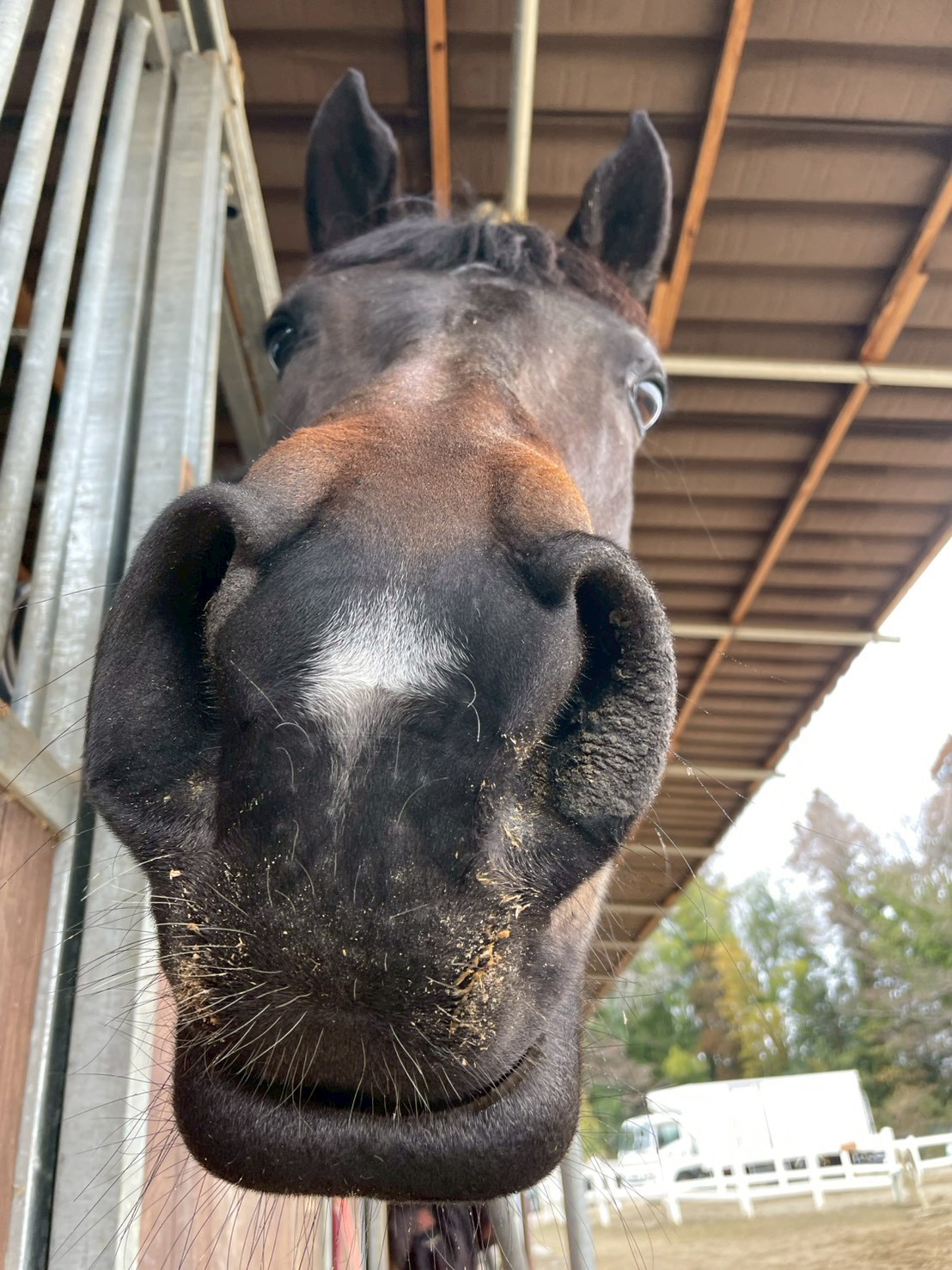 サクラリタッチ