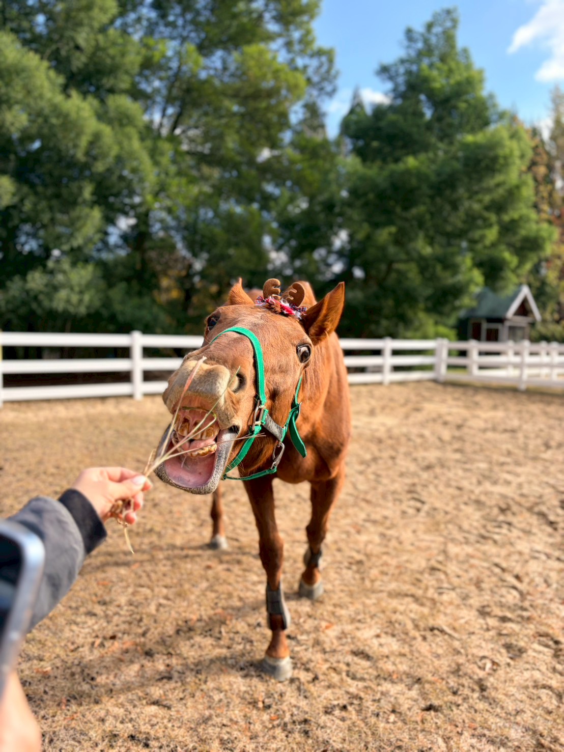 アルコンシエル　リタッチ