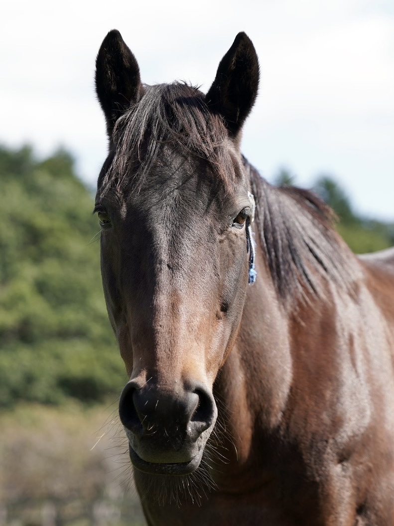 アウトオブタイム