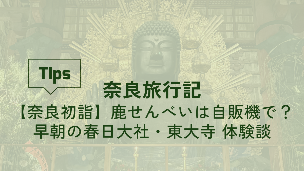 【元旦の奈良初詣】鹿せんべいは自販機で?早朝5時到着で春日大社・東大寺を巡った体験談