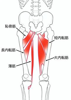 腿裏ストレッチ