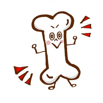 骨の健康のイメージ
