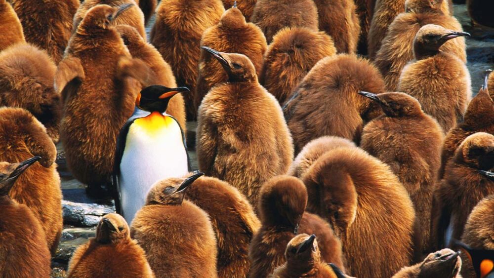 ういている　英語　out of place 意味