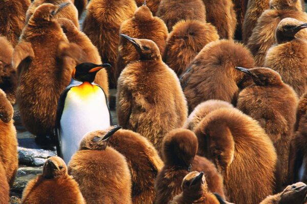 ういている　英語　out of place 意味