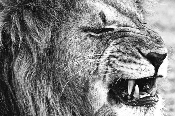 お腹が鳴る　英語　my stomach is growling