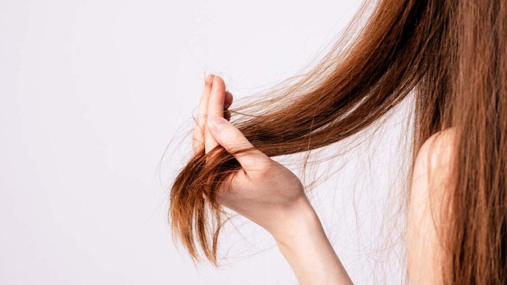 枝毛　英語 split ends 意味