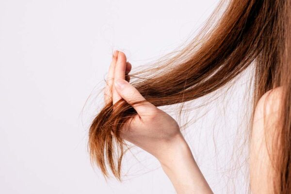 枝毛　英語 split ends 意味