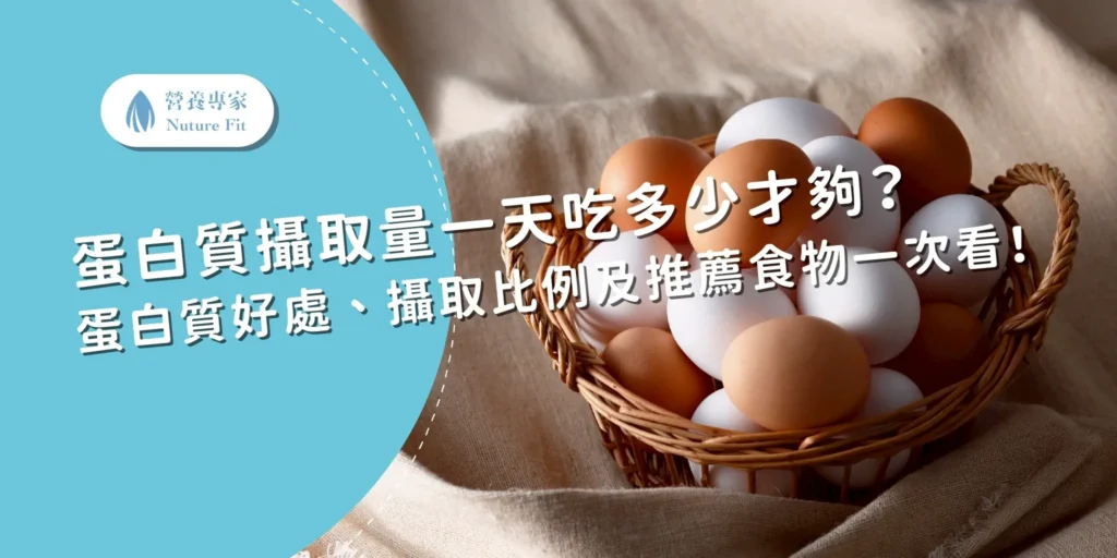 蛋白質攝取量一天吃多少才夠?