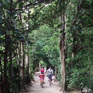 福レンタサイクル&一福茶屋|おきなわLikes 〜県民と旅行者のための