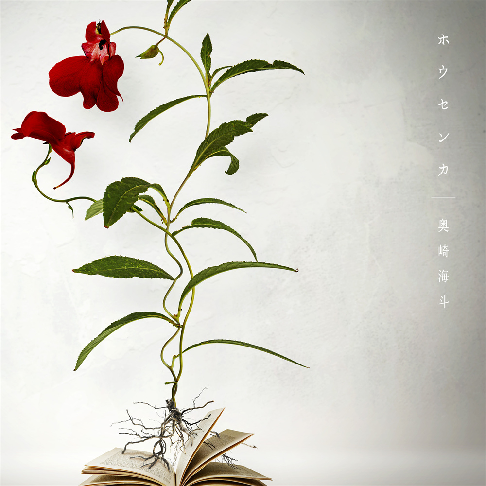 ホウセンカ」Pre-add/Pre-saveキャンペーン開催！｜奥崎海斗 -Kaito