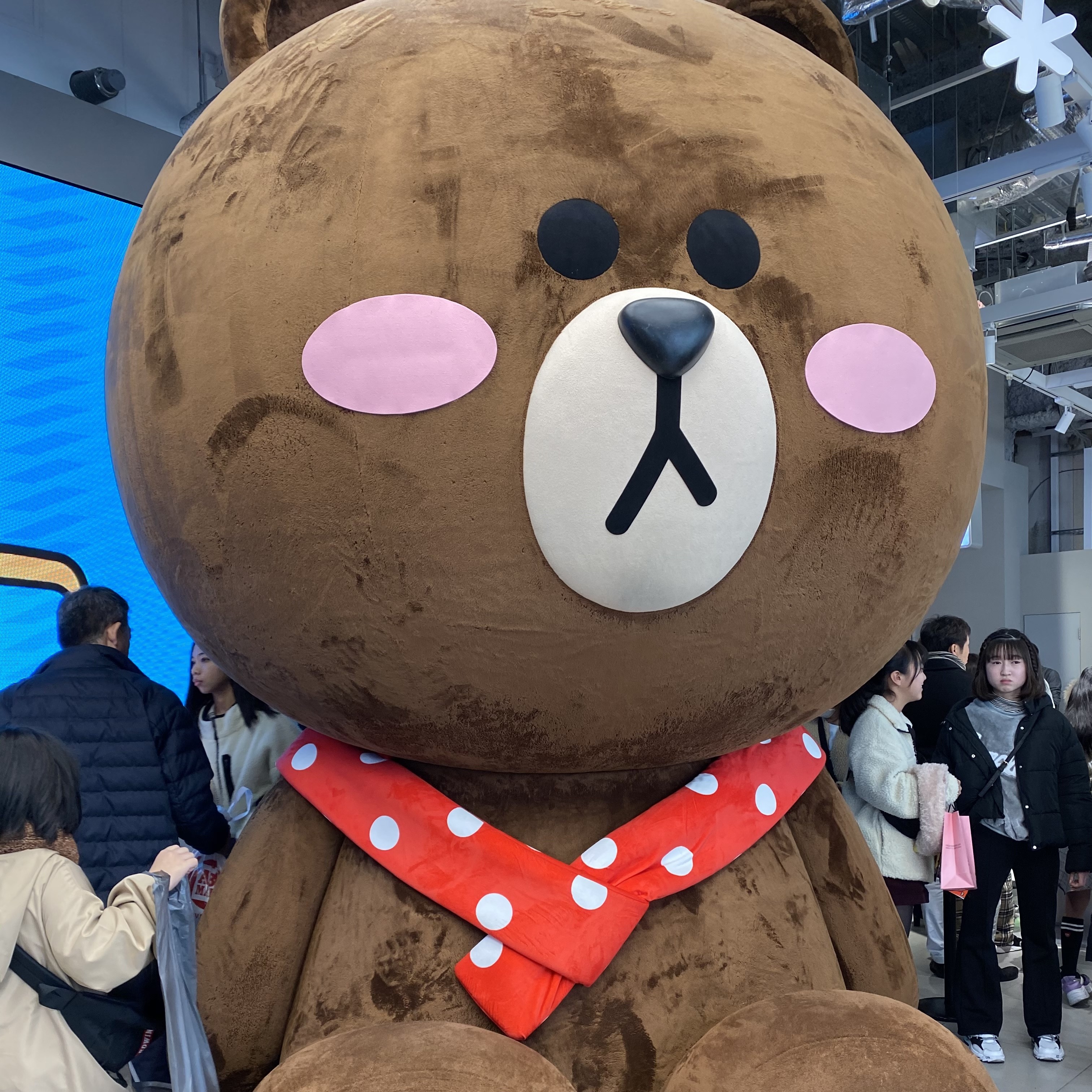 まめタ