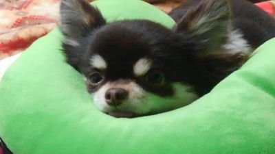 ざないと。