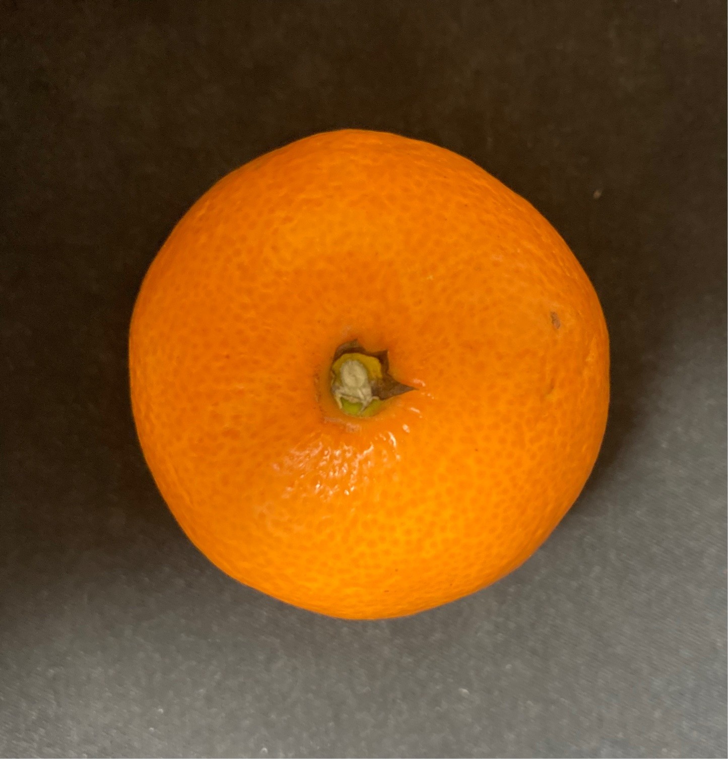 みかん太郎