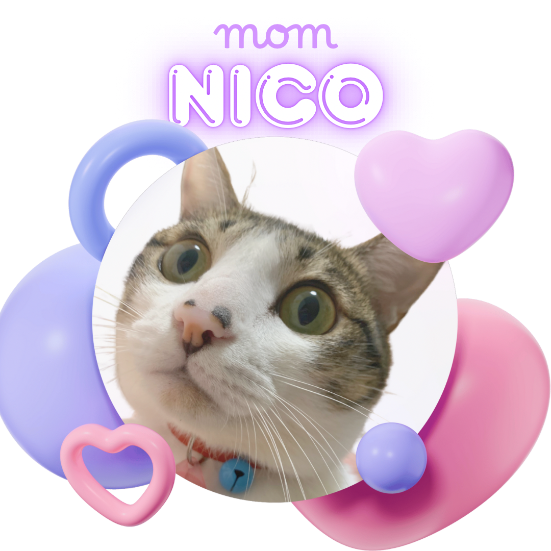 ニコ🐱