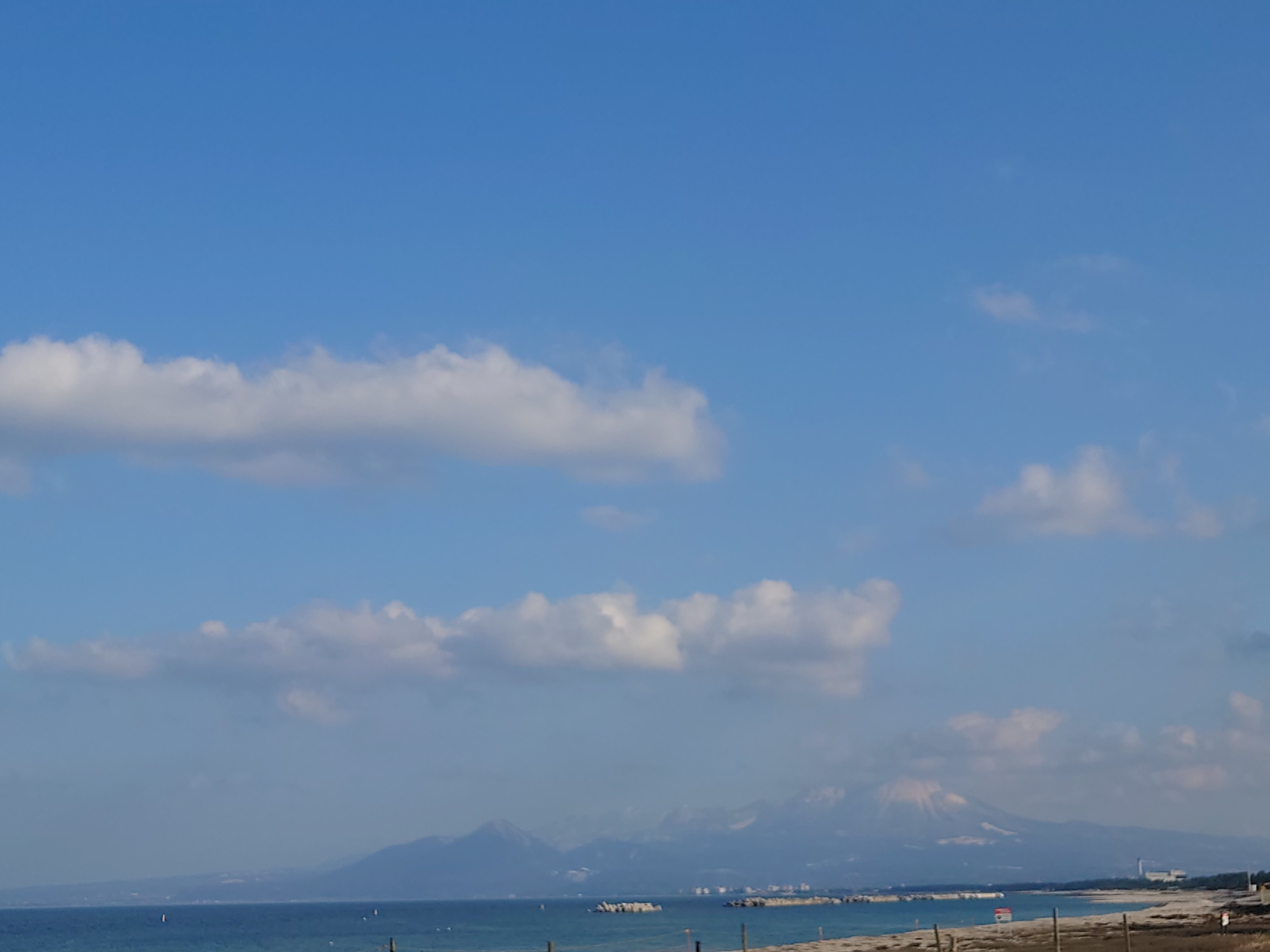 めぐちゃん（鳥取）