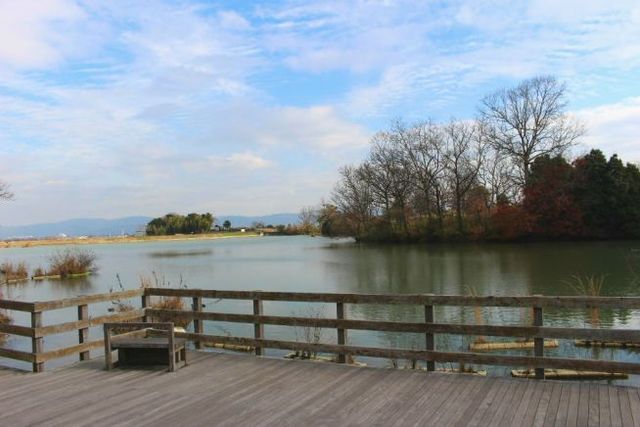 池を眺めながらベンチで一息