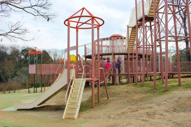 低い位置にも、すべり台