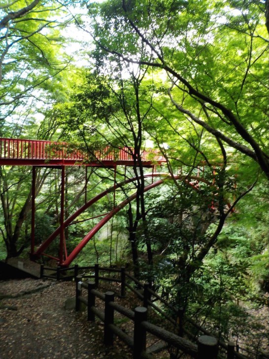 マイナスイオンたっぷりのスポット