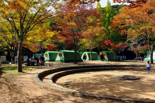 気軽にテント泊が体験できるテントキャンプ場