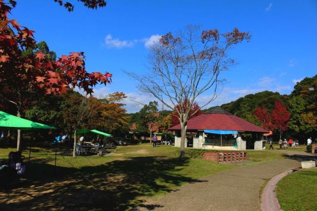 バーベキューサイト。予約をすれば食材も購入可能です。