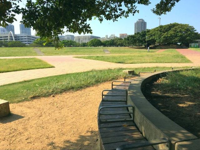 木陰のベンチ