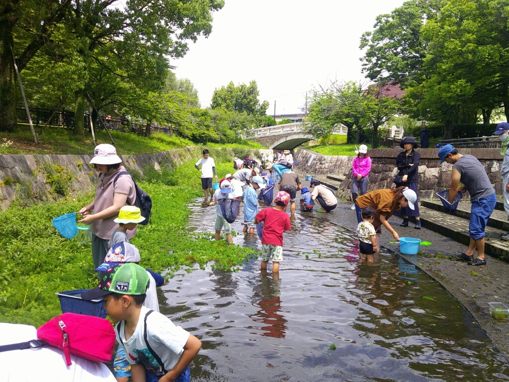 園内の川で生きもの探し(みどりの学校)