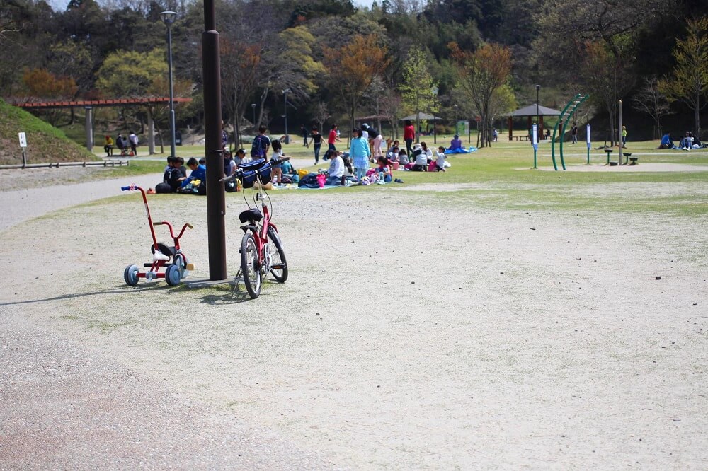 芝生広場