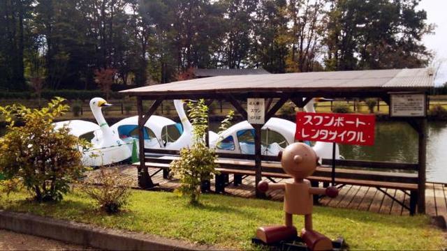 スワンボートにも乗れますよ