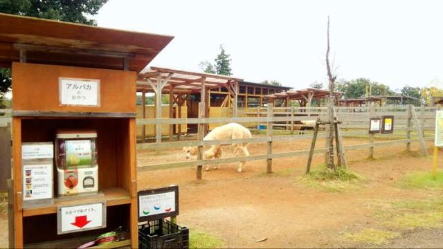 動物ごとにガチャガチャのおやつの販売機があり、おやつをおなべに入れてあげます