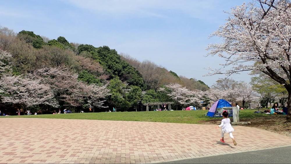 子どもたちが走り回れる広さを誇る「芝生広場」 写真提供:野津田公園