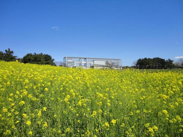展望レストハウス「クリスタルビュー」