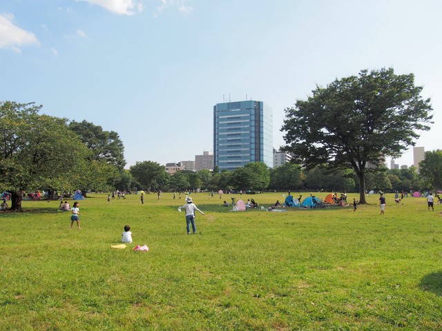 広い芝生広場ではいつもピクニックをする人々でいっぱいです。広場の一角にはドッグランがあります。