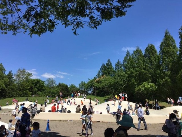 雲の海