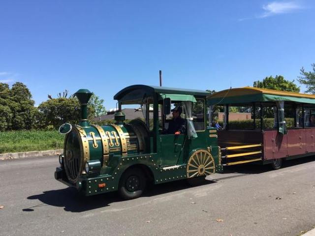 パークトレイン