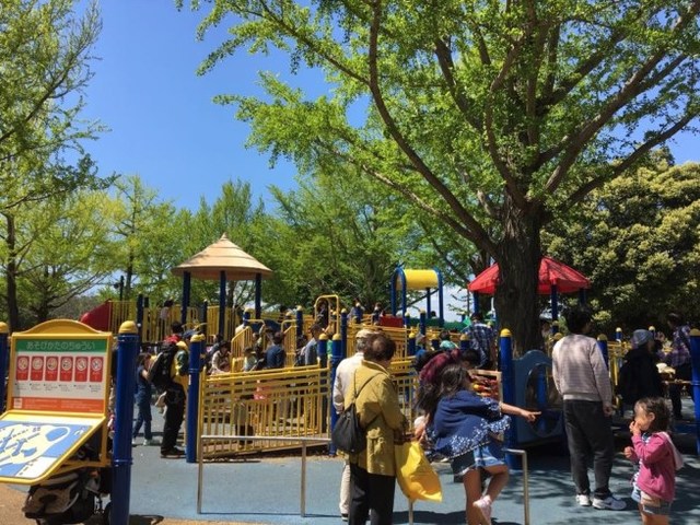 子ども達が大好きな遊具が揃っています