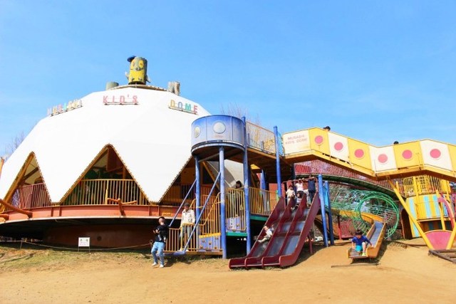 色々な種類のすべり台がついています