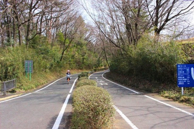 サイクリングコースは一方通行です