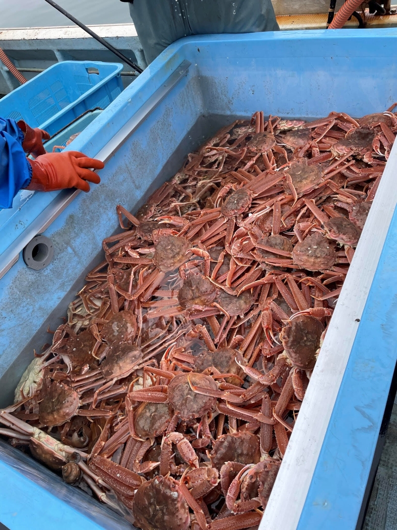昨年1カ月で200名が注文！【北海道産蒸しオオズワイガニ】2kg 7,551円