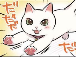 とつ然ダッシュする