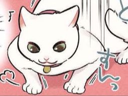 失敗した後、つめをとぐ
