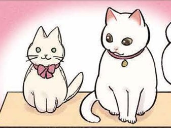 見慣れないものにパンチをする