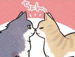 指先に鼻をくっつける
