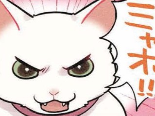 ケンカの仲さいをする