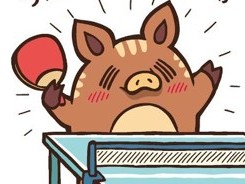 キャプション/クオリティー/コンディション