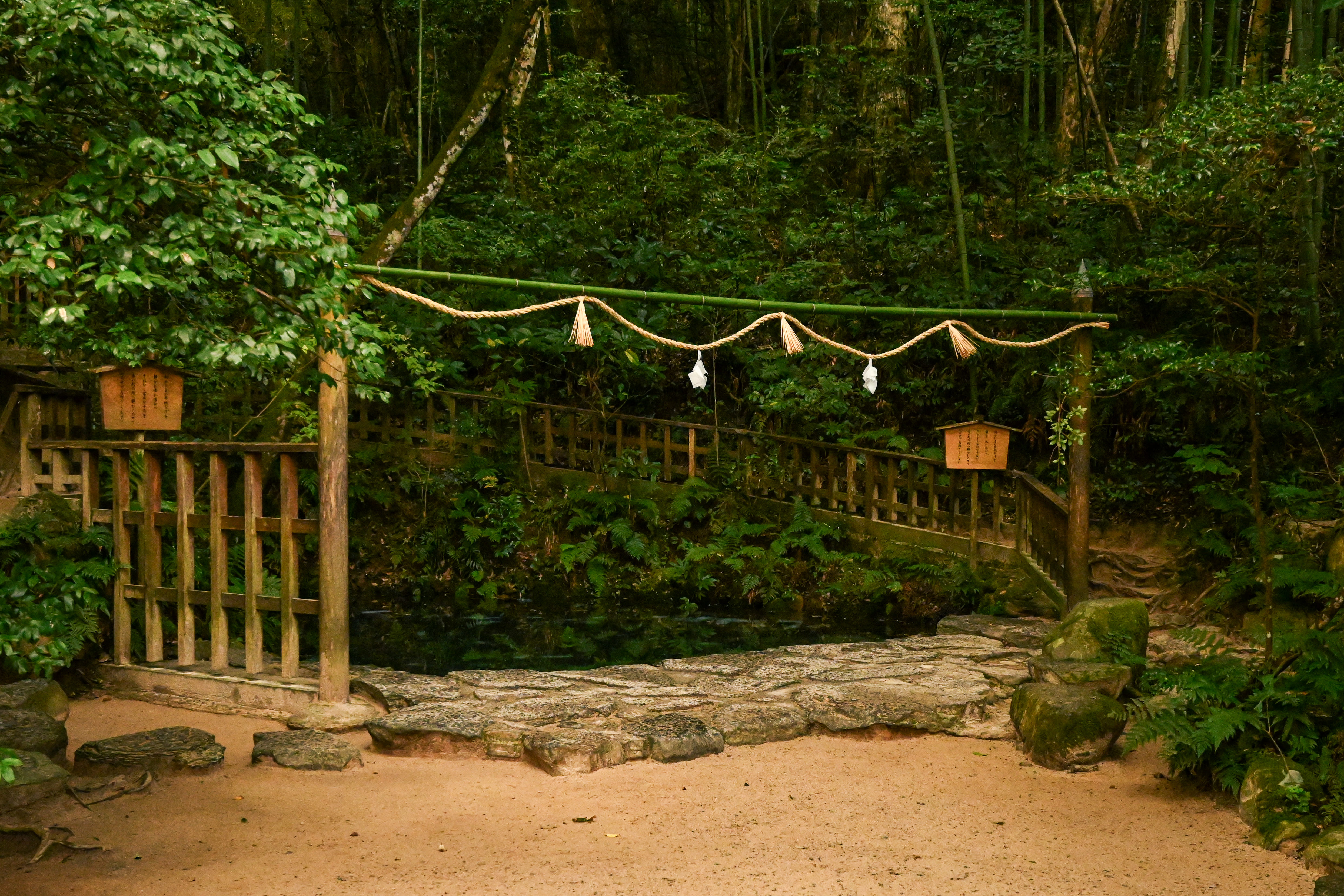 セツが占いをした鏡の池