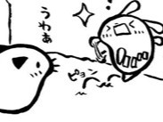 後悔先に立たず