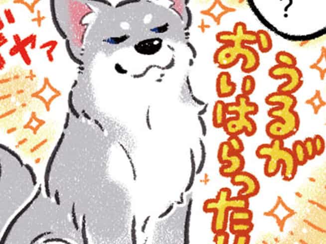 ガウガウ